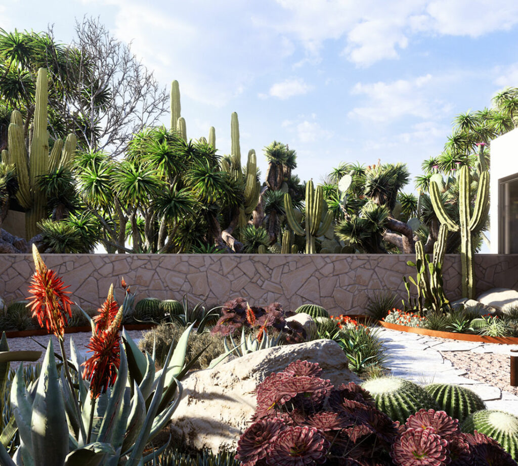 Landscape Rendering Dry Garden Lumion 3d Italia Software Di